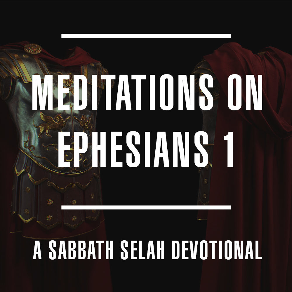 Meditations on Ephesians 1