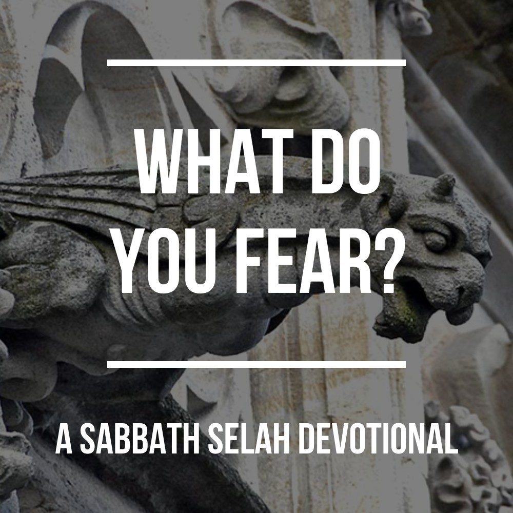 What do you fear? Devotional image