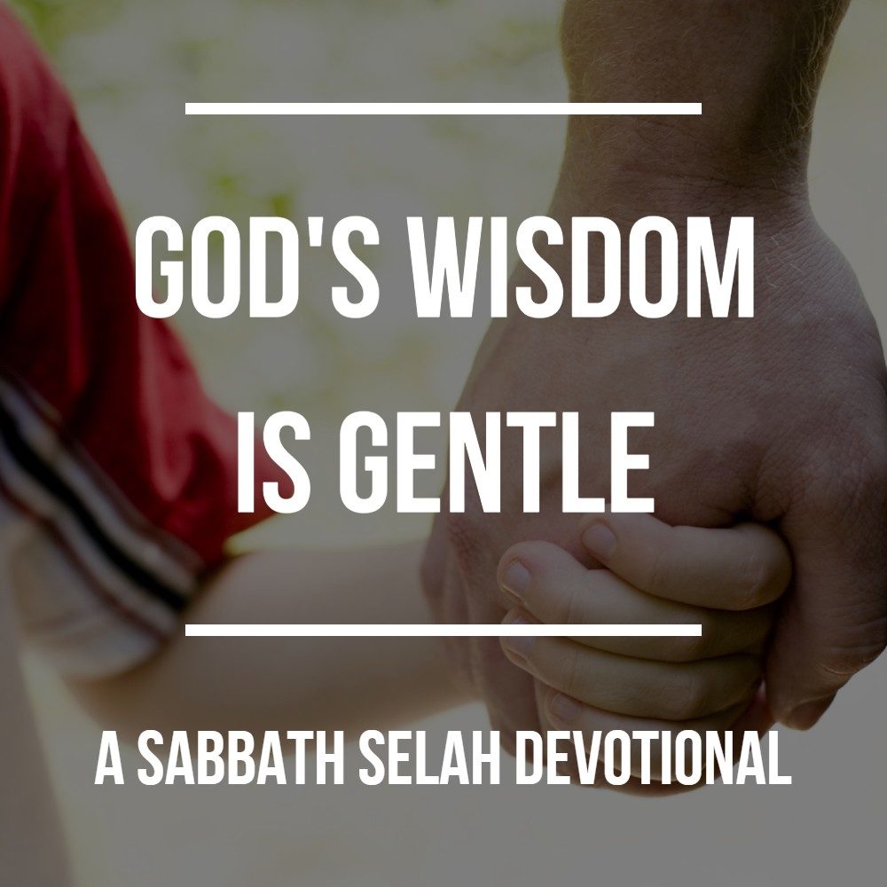 God's wisdom is gentle