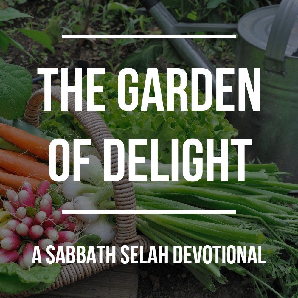 garden of delight