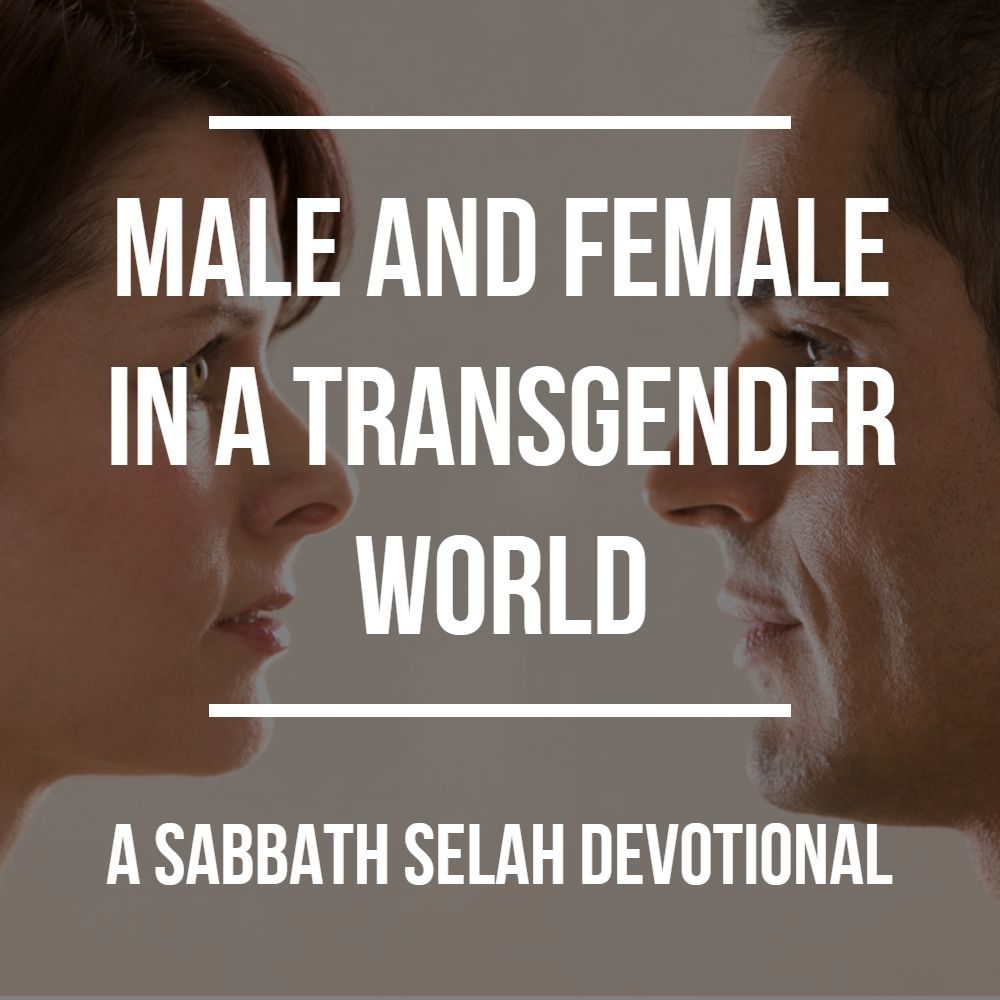 male and female in a transgender world